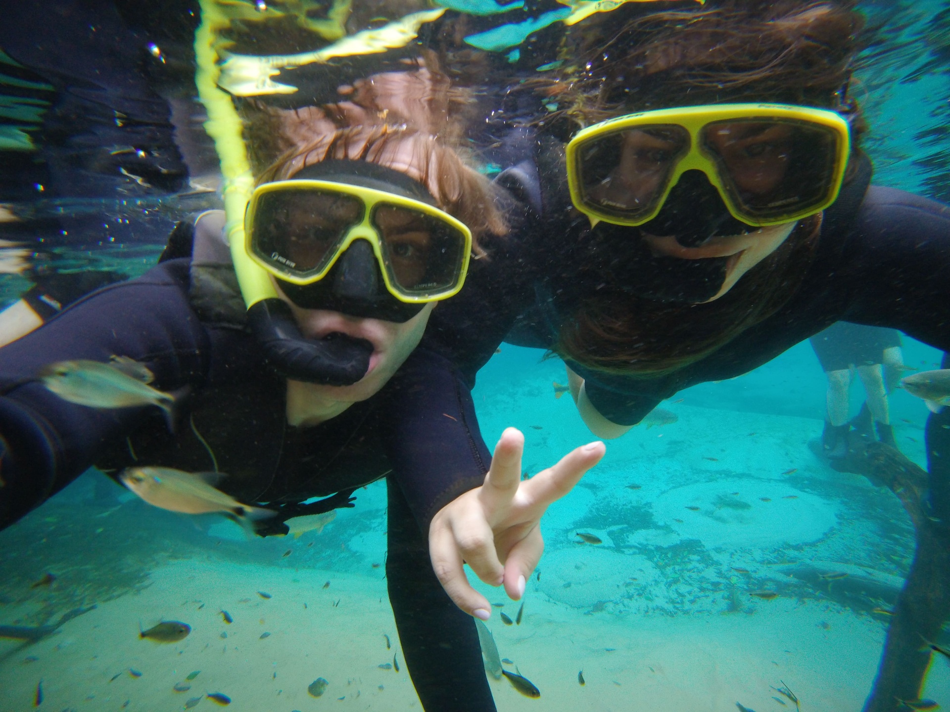 Mergulhando entre peixes em águas cristalinas